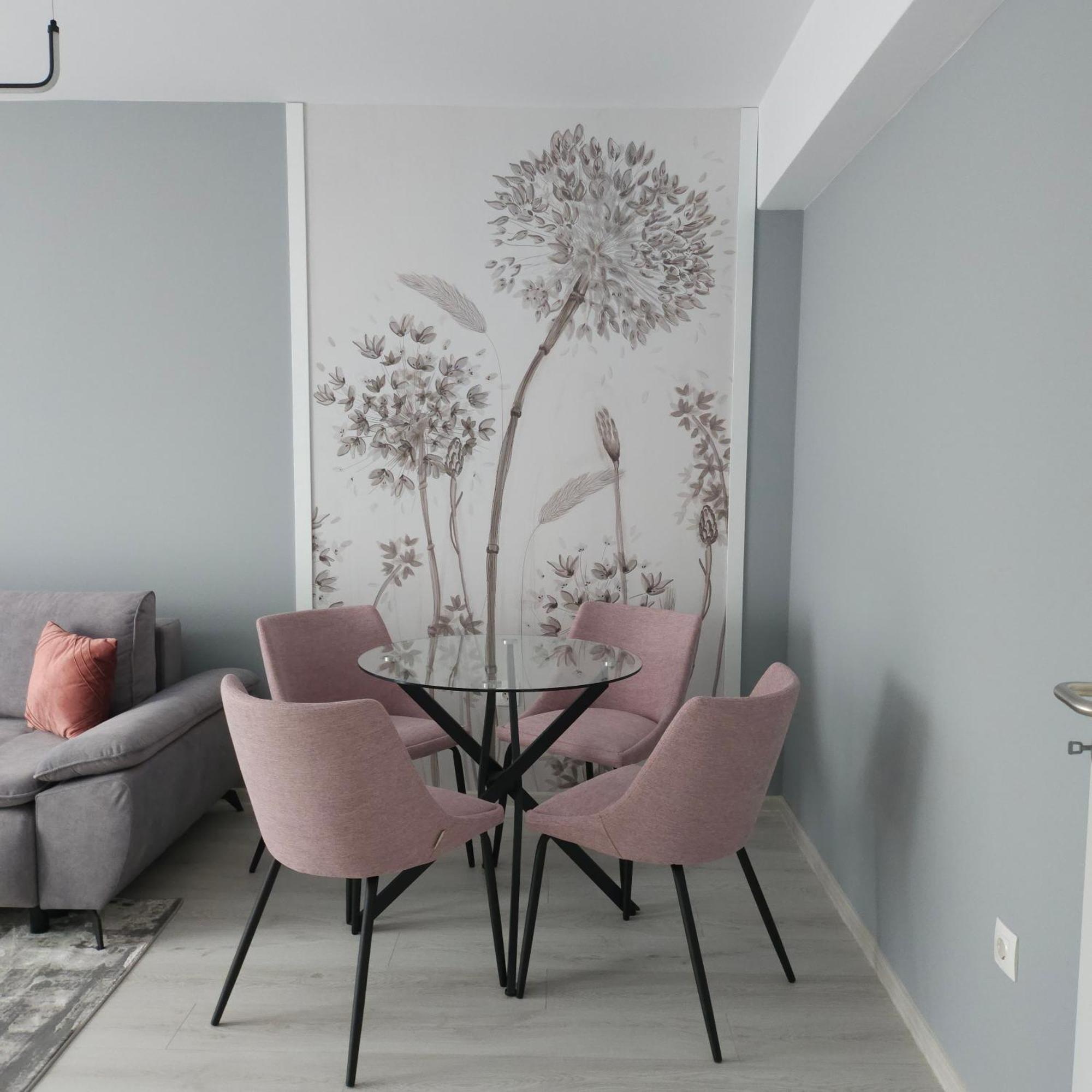 Alexander Apartament